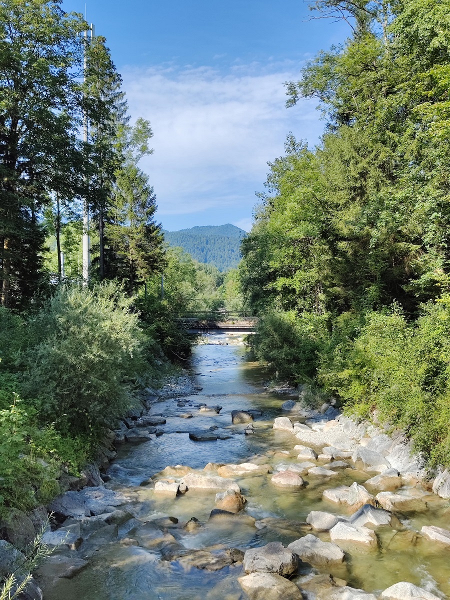 Von Bäumen gesäumter Fluss.